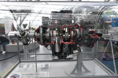 DSC_7083 (Large).JPG